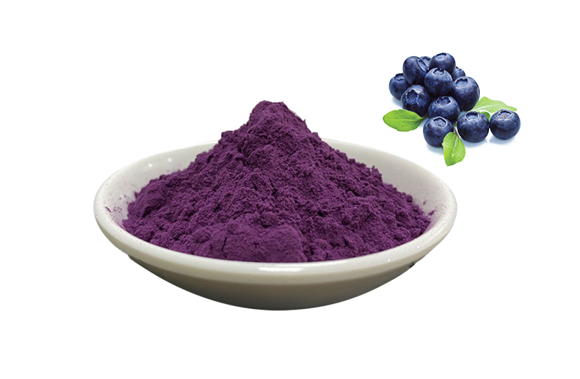 Best Bilberry Extract